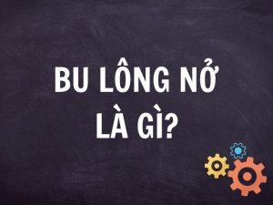 Bu lông nở là gì?