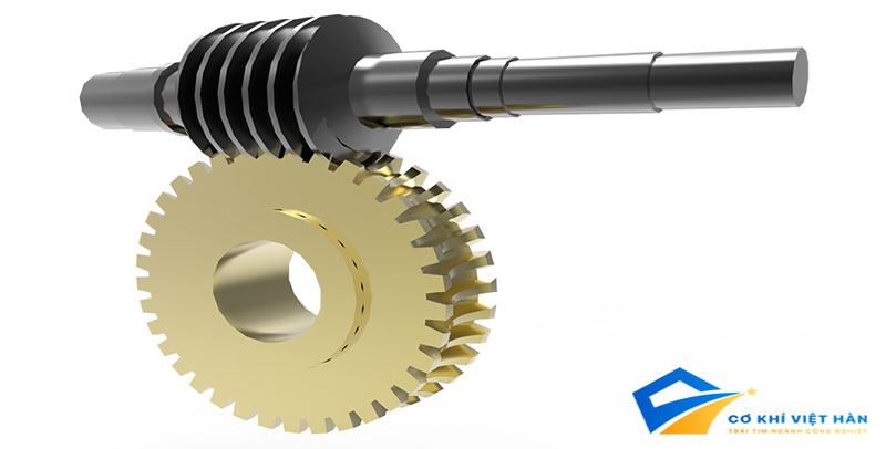 Trục vít bánh vít là gì? Ứng dụng và Ưu nhược điểm trong ngành cơ khí