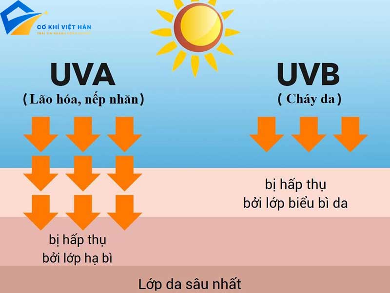 Tia tử ngoại là gì?