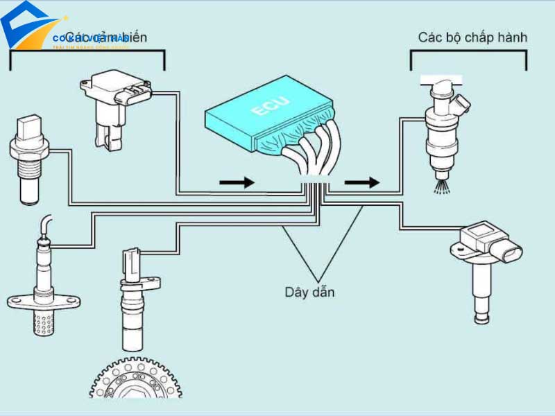 Cảm biến cửa là gì