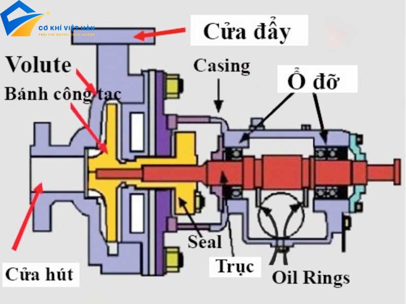 Máy Bơm Nước Ly Tâm