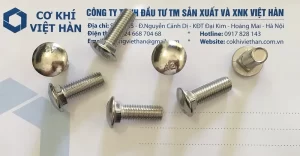 Bu lông cổ vuông inox