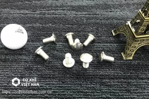 Bu lông đầu tròn inox