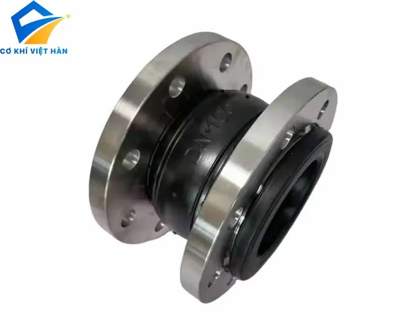 Khớp Nối Cao Su Bích ANSI B16.5